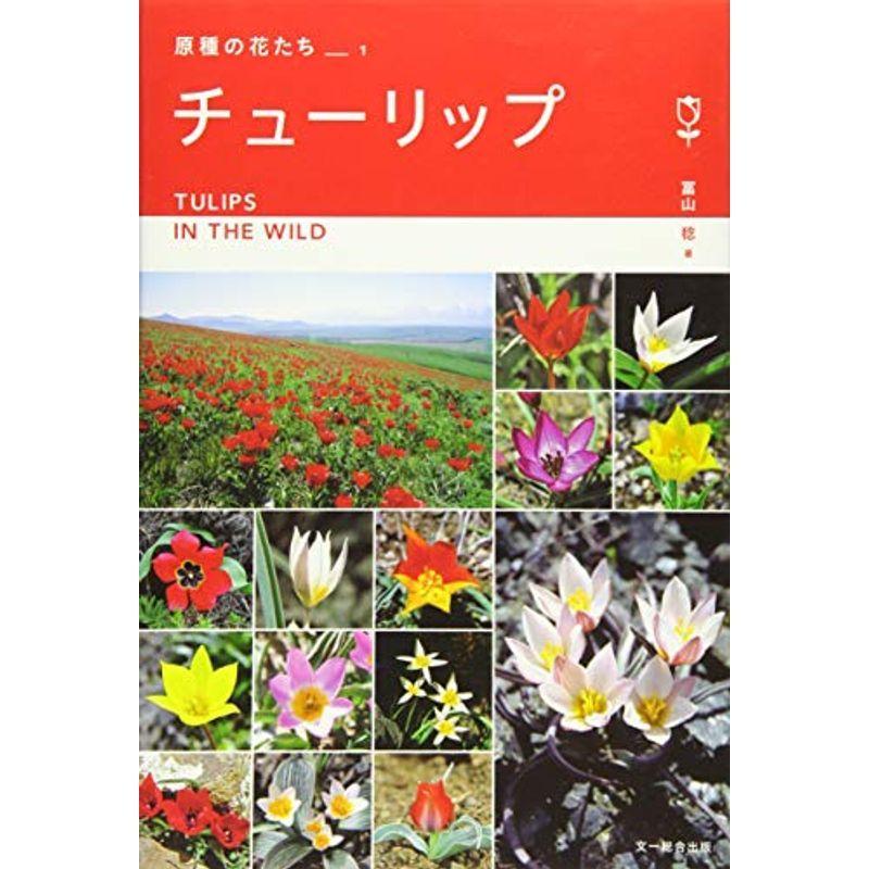 チューリップ ヨーロッパ アジア9カ国紀行 原種の花たち 009us Mkヤフー店 通販 Yahoo ショッピング