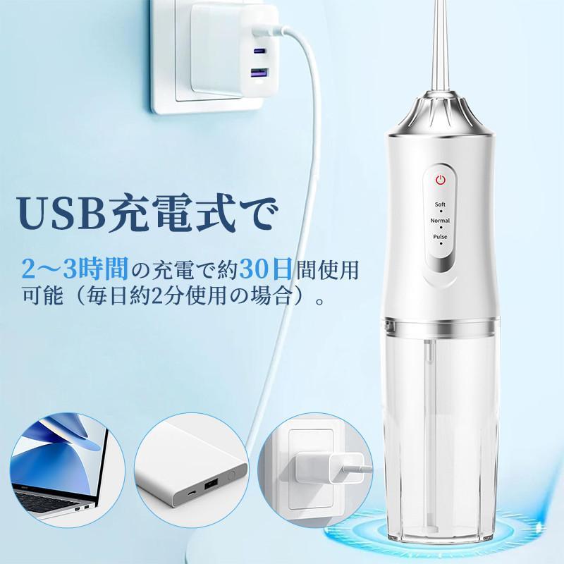 口腔洗浄器 ジェットウォッシャー ウォーターフロス USB充電式 (ホワイト) ジェットウォッシャー ウォーターフロス ジェット水流 デンタル