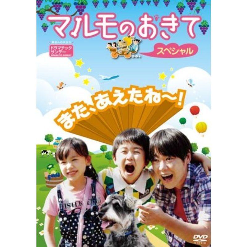 マルモのおきて スペシャル DVD