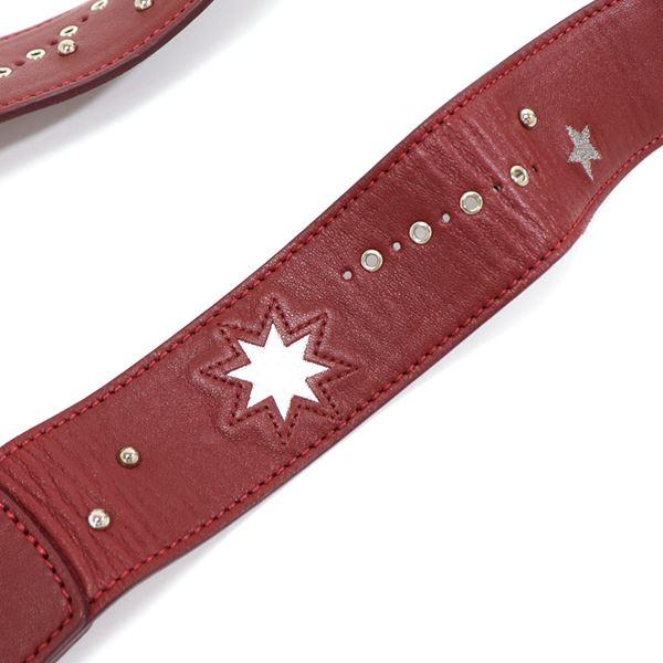 LONGCHAMP ロンシャン SHADOW ショルダーベルト Longchamp Shadow ショルダーストラップ Pomegranate - ファブリック