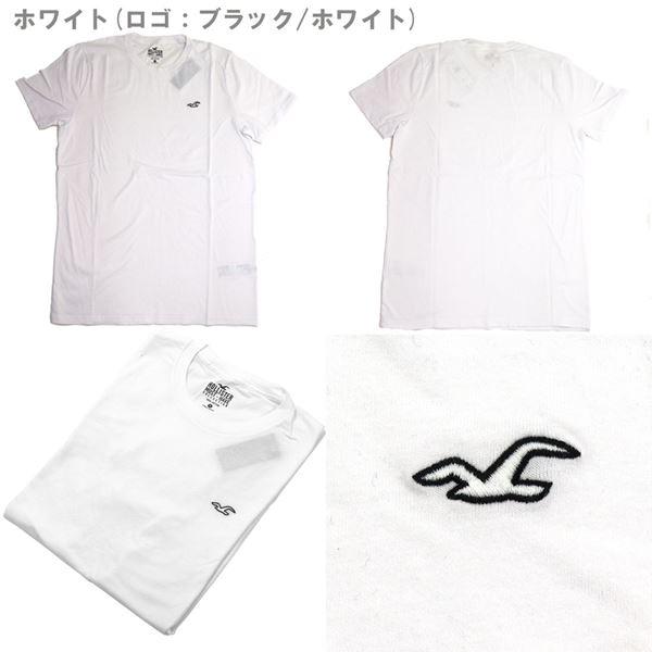 HOLLISTER ホリスター　カットソー　2枚セット Hollister ホリスター Tシャツ 2枚セット メンズ ワンポイント クルー