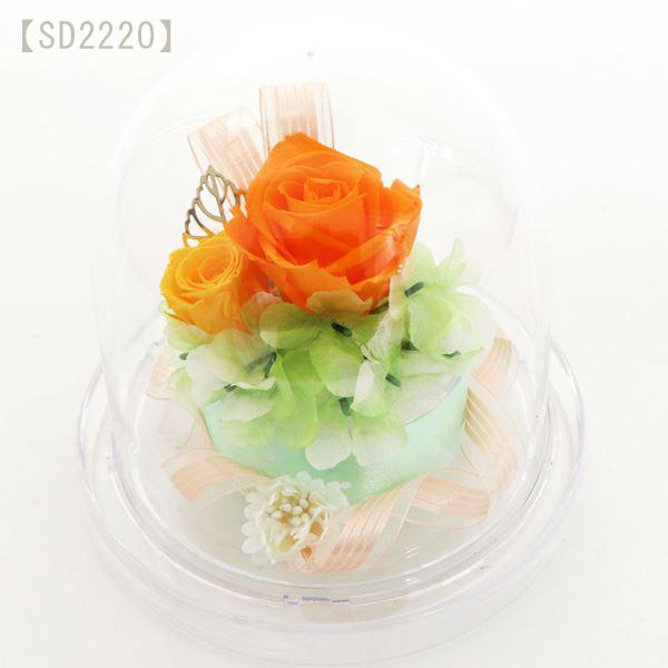 ドーム フラワー ペア 楽天市場】プリザーブドフラワー カーネーション 薔薇 ガラス