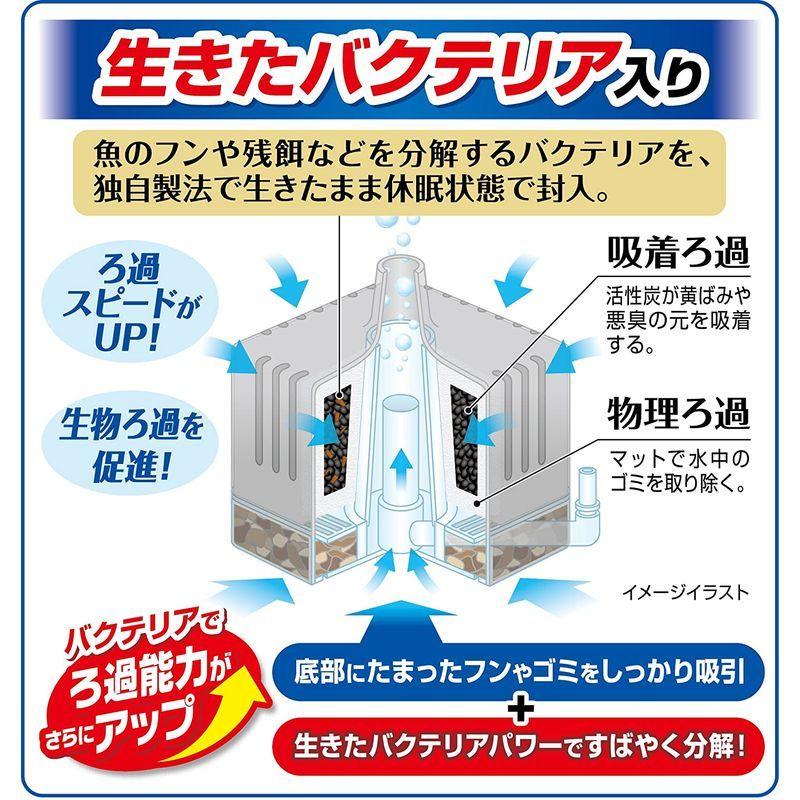 有名なブランド ジェックス ロカボーイ バクテリアパワー Sサイズ tresil.com.br 有名なブランド ジェックス ロカボーイ バクテリアパワー Sサイズ tresil.com.br