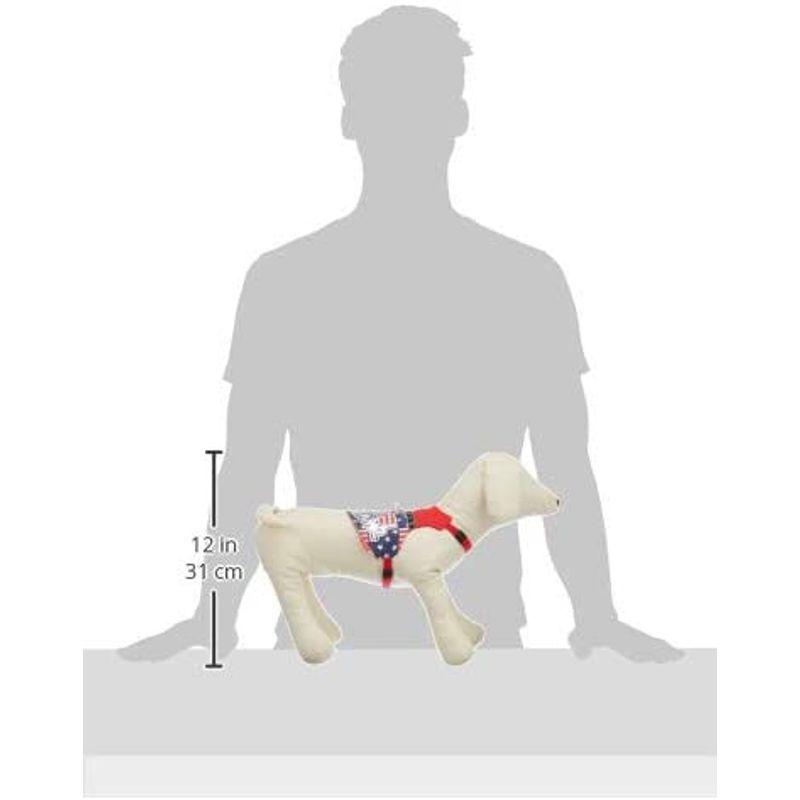 Amo K アモワークス うさぎ用 チアリーダーハーネス 首輪 胴輪 ラビット お散歩 お出かけ 美しい