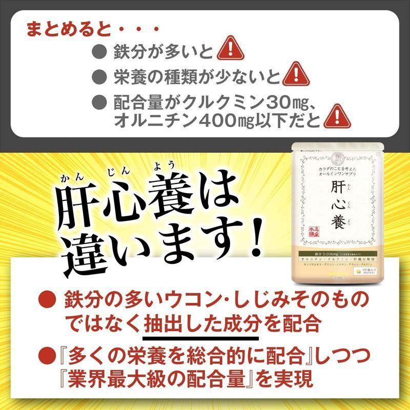 肝心養 オルニチン 肝臓エキス 鉄分過多が懸念される ウコン しじみ 不使用 30日分 クルクミン ミルクシスル サプリメント Mkgショップ 通販 Yahoo ショッピング