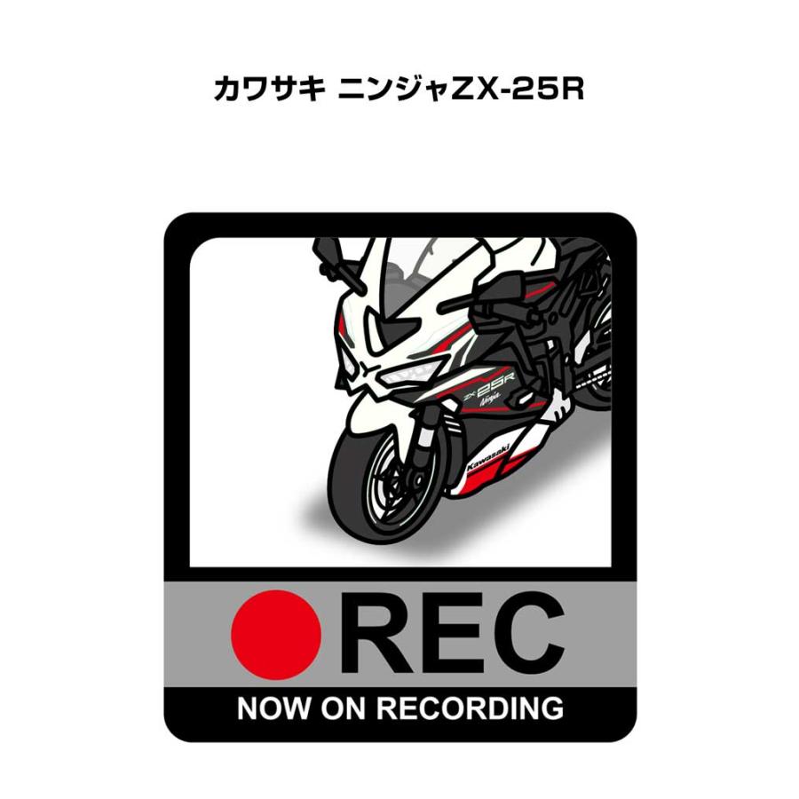 飾り絵 MKJP イラストA5 フレーム付き バイク カワサキ ニンジャZX-25R ゆう