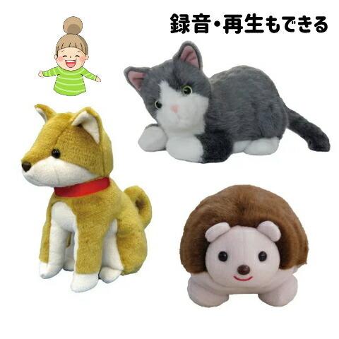 うんた うんたねこ ベビうんたぬいぐるみ セット びくたろ【うんたねこ