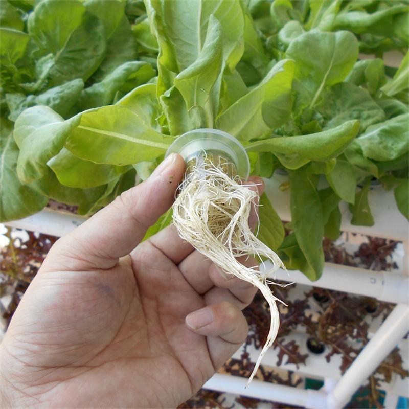水耕栽培キット 3層12管 無土壌栽培設備配管水耕野菜栽培 室内と庭園栽培器 育成システム 家庭用 ベランダ 庭 スポンジ ポンプ付き プランター 野菜を育てる 