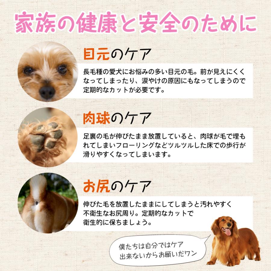 トリミング ハサミ シザー 犬ハサミ 犬トリミング 犬カットハサミ 犬用ハサミ 犬用ハサミプロ用 犬カットハサミ 犬のカットハサミ トイプードル 犬 猫 用 21 0127 Pet Scissor Mkmc 通販 Yahoo ショッピング