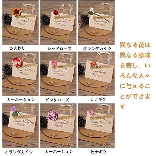 花束 メッセージカード 9種 9枚入 感謝カード 最大87 Offクーポン グリーティングカード ミニメッセージカード 記念日 お祝い 結婚 お見舞い ローズ 誕生日 ひまわり