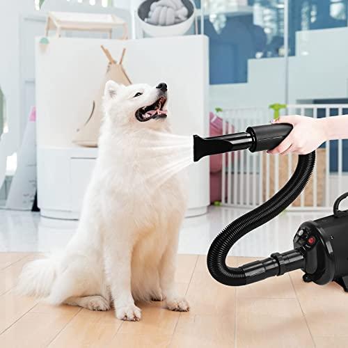 ショップXKISS 犬 ドライヤー 4つのノズル付き 2800 猫 3.8 ペット用