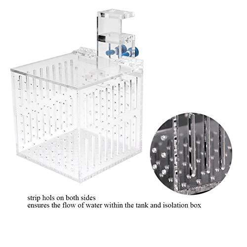 激安通販販売 魚 繁殖隔離ボックス 産卵ケース 隔離ケース 水槽孵化 産卵箱 稚魚飼育箱 調節可能 アクリル素材 透明 省スペース Teaandtwigs De