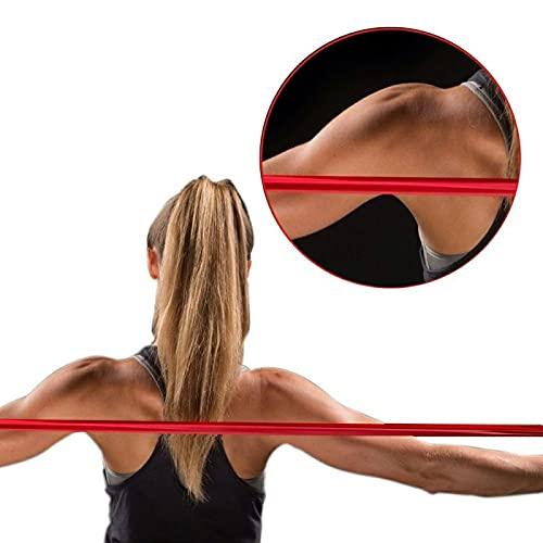 高評価続出！ THERABAND セラバンド ノンラテックスバンド 22.86m (レッド（強度：0）) 【1684557916】(9321円)