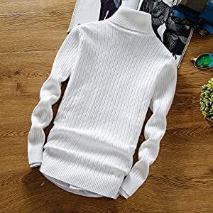 色々な アスペルシオ ハイネック スリム ケーブル ニット セーター メンズ ボリュームネック タートルネック モックネック ハイネックセーター Quagpt Idc Pharma Com