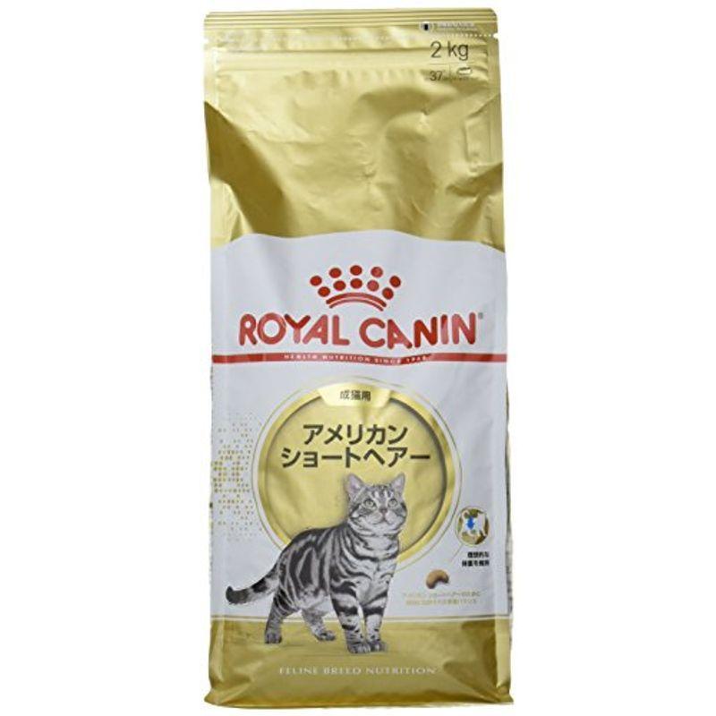 配送員設置送料無料 ロイヤルカナン Fbn アメリカンショートヘアー 成猫用 2kg 最安値 Turningheadskennel Com