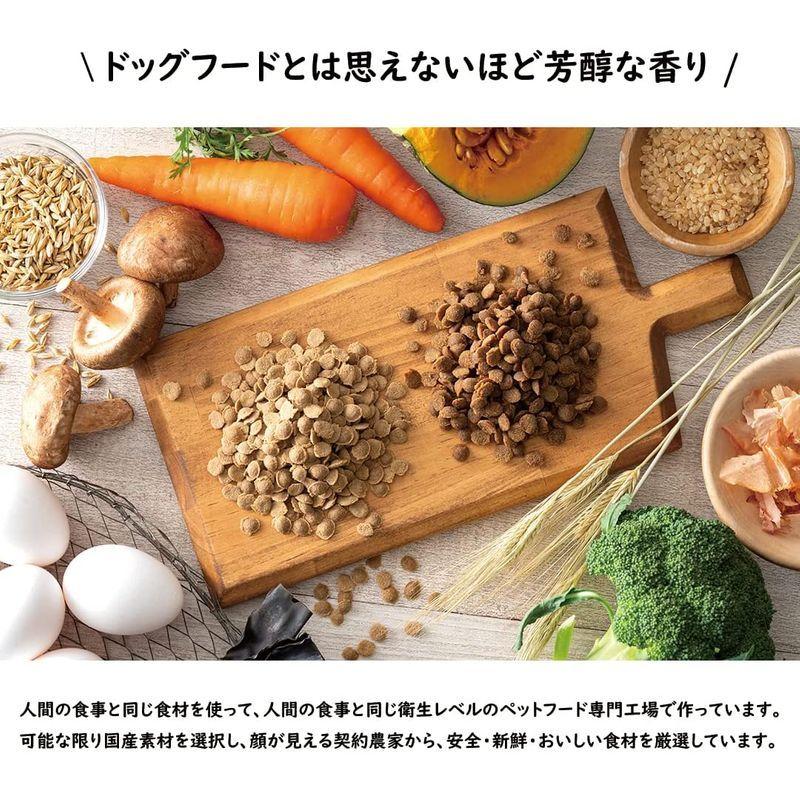 Yum Yum 犬用品 Yum ヤムヤムヤム 2kg ドッグフード ドッグフード 馬肉 ドライタイプ 2kg 犬用総合栄養食 全犬種 全年齢 ノン オイルコーティング Mku