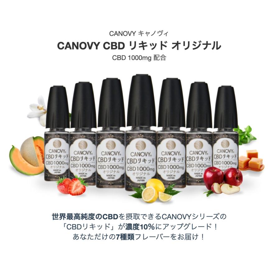 【定番】国産CBDリキッド (ペパーミント)｜CBD 【丸山修寛】 10%｜10ml「2022新作」
