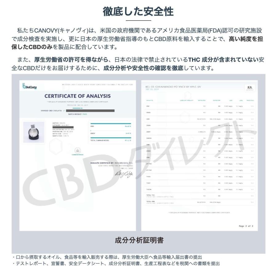 【定番】国産CBDリキッド (ペパーミント)｜CBD 【丸山修寛】 10%｜10ml「2022新作」