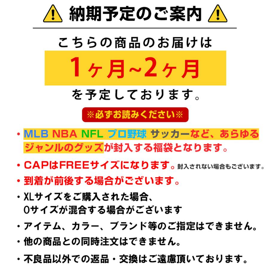 All 創業祭 ランダム福袋 2026 創業30年目突入記念  MLB NBA NFL NHL サッカー etc 福袋_1