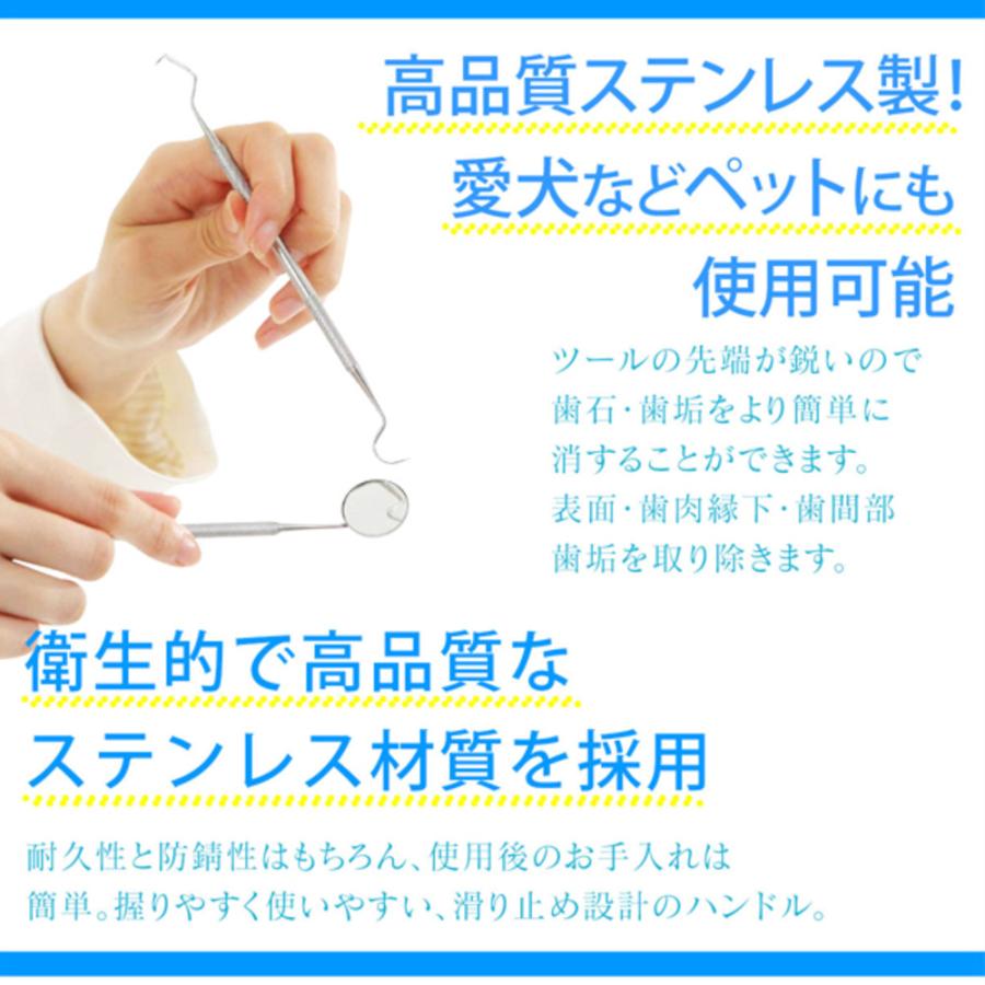 歯石取り器具 6本セット ステンレス製 自宅用 デンタルツール 歯 ヤニ
