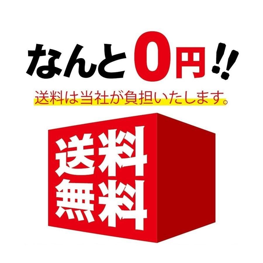 歯石取り器具 6本セット ステンレス製 自宅用 デンタルツール 歯 ヤニ