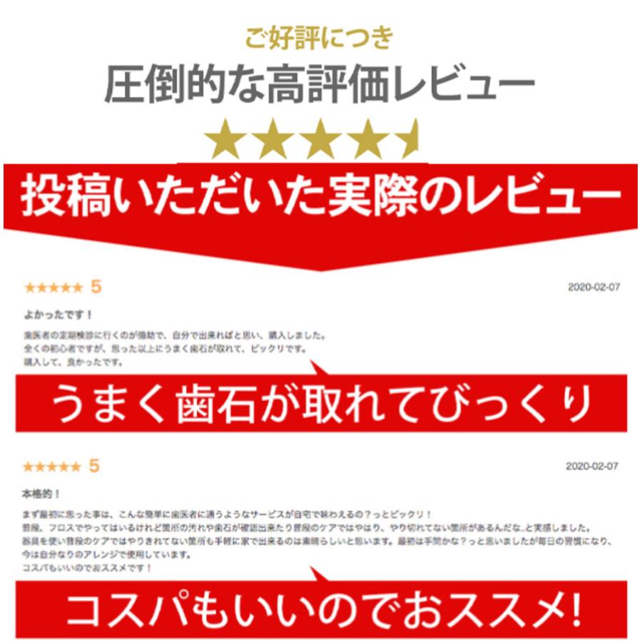 歯石取り器具 6本セット ステンレス製 自宅用 デンタルツール 歯 ヤニ