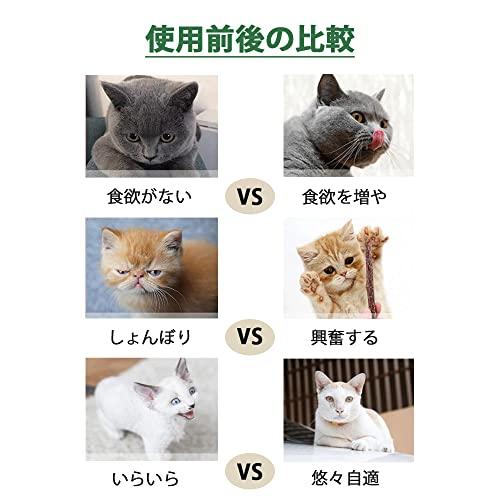 GOODCHI 猫歯ぎしり棒 枝 天然 無添加 子猫歯ぎしり咀嚼おもちゃ 肥満解消 興奮した猫歯のクリーニングスティック 噛むスティック 30本｜mlp-store｜06