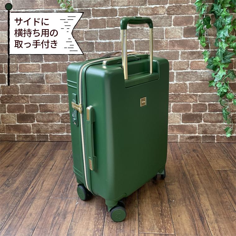 【極美品/激レア】PORTER×FLAVOR ペットキャリーバッグ Sサイズ 緑 ハピタス スーツケース ファスナータイプ 50L Mサイズ 3〜4泊用