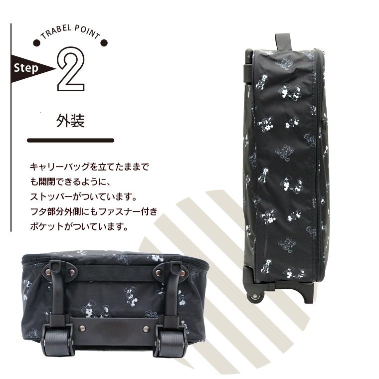 Disney（ディズニー） 折りたたみ ソフトキャリー Sサイズ 29L 簡易
