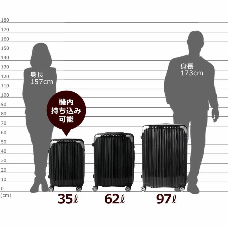 Siffler（シフレ） 抗菌 スーツケース Lサイズ 大型 97L 拡張機能付き
