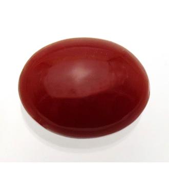 3075 血赤珊瑚 4.91ct 血赤珊瑚は珊瑚のトップブランド 日本近海 :