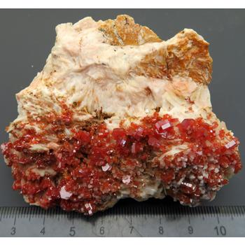 褐鉛鉱 Vanadinite 鉱物標本 美結晶 著名産地 モロッコ 瑞浪鉱物展示館 4967｜mm-museum｜02