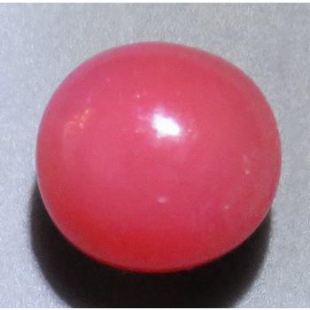 コンクパール 0.76ct 上級品 裸石 ルース Strombus Gigasの天然