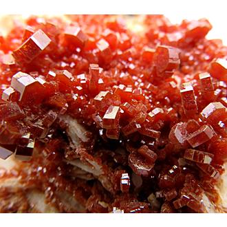 バナジン鉛鉱 Vanadinite 鉱物標本 コレクター必須 著名な モロッコ産