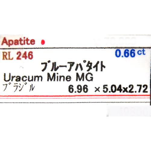 訳あり 特価 ルース ブルーアパタイト 0.657ct トップカラー 美しく濃いネオンブルー ブラジル 瑞浪鉱物展示館 5532_4
