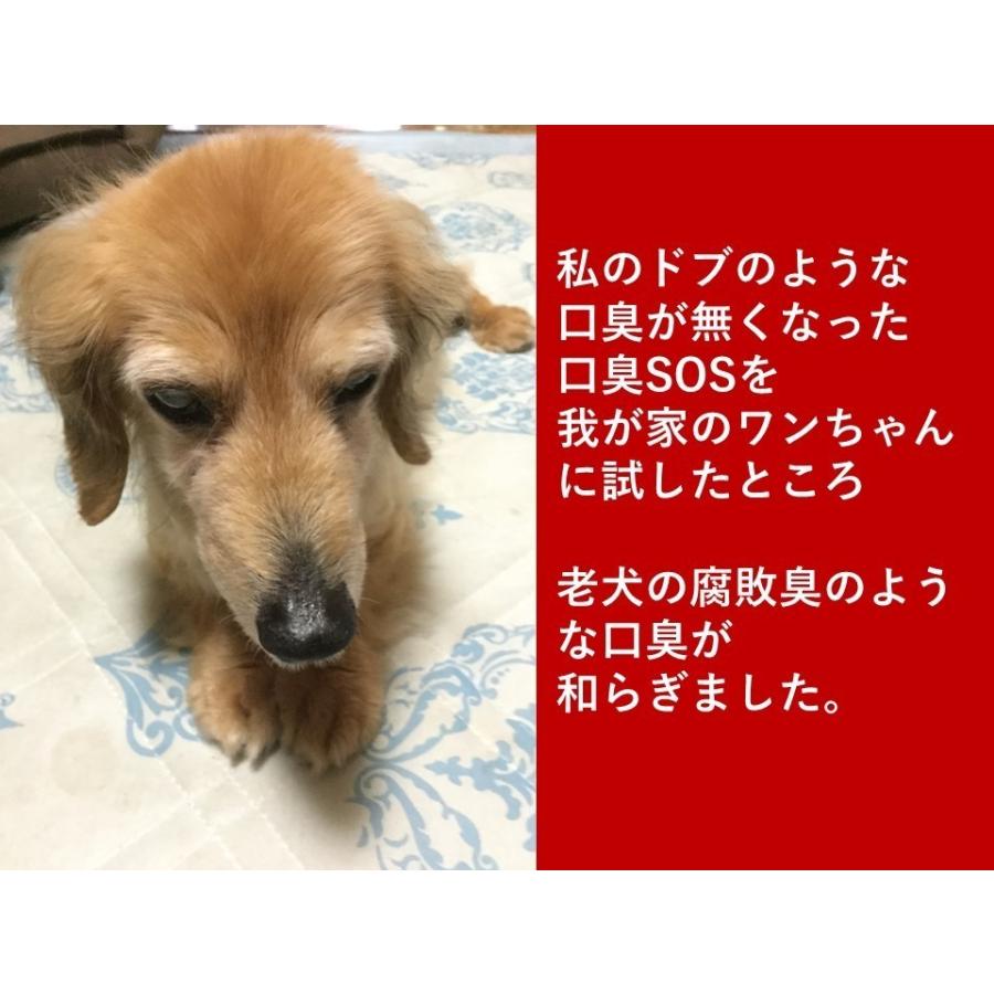 ペット口臭ケア ペット口臭対策 ペット消臭剤 ペット消臭スプレー ペット消臭マット ペット消臭元　ペット用 口臭SOS 日本製 50ml　　 |  | 04