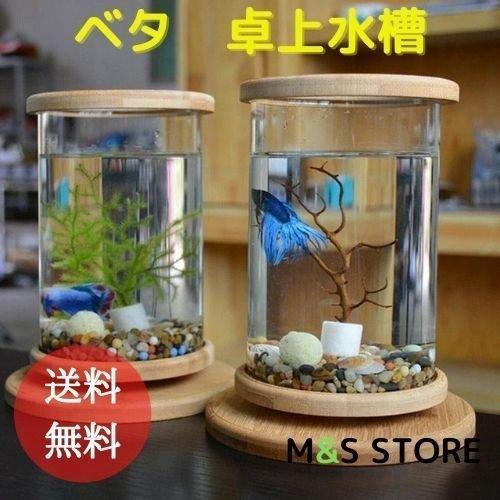 ベタ 卓上 水槽 飼育 おしゃれ インテリア ガラス １ピース 水槽のみ Thenicovid19results Com