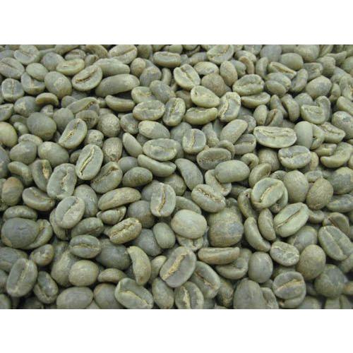 コーヒー生豆　コロンビア エクセルソ　10kg　大容量 まとめ買い【生豆】
