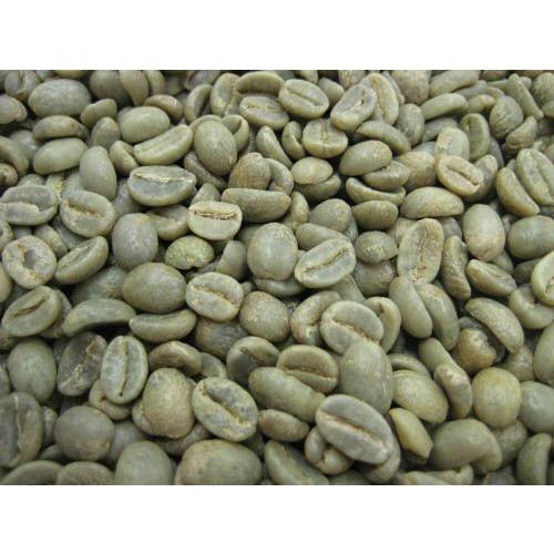 コーヒー生豆 コロンビア オーガニック 5kg 有機栽培生豆 大容量