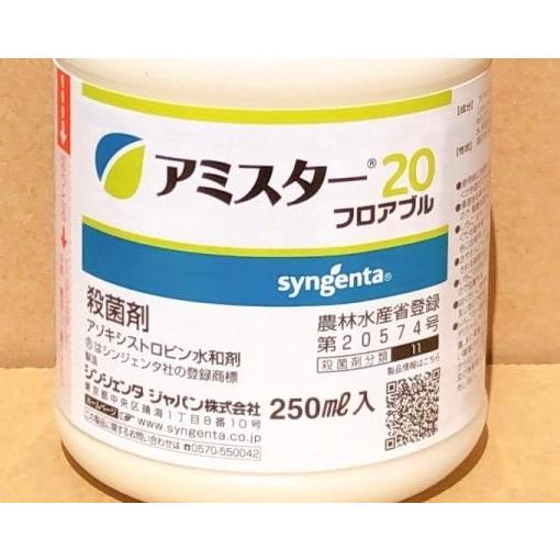 ご確認用　アミスター錦　未発根他 ご確認用 アミスター錦 未発根他 アミスター20フロアブル 250ml : 農園芸と