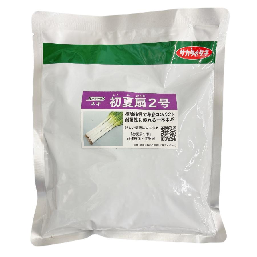 ネギ　初夏扇2号　6000粒　有効期限１２月 ネギ 初夏扇2号｜種（タネ）,球根,苗,資材,ガーデニンググッズの