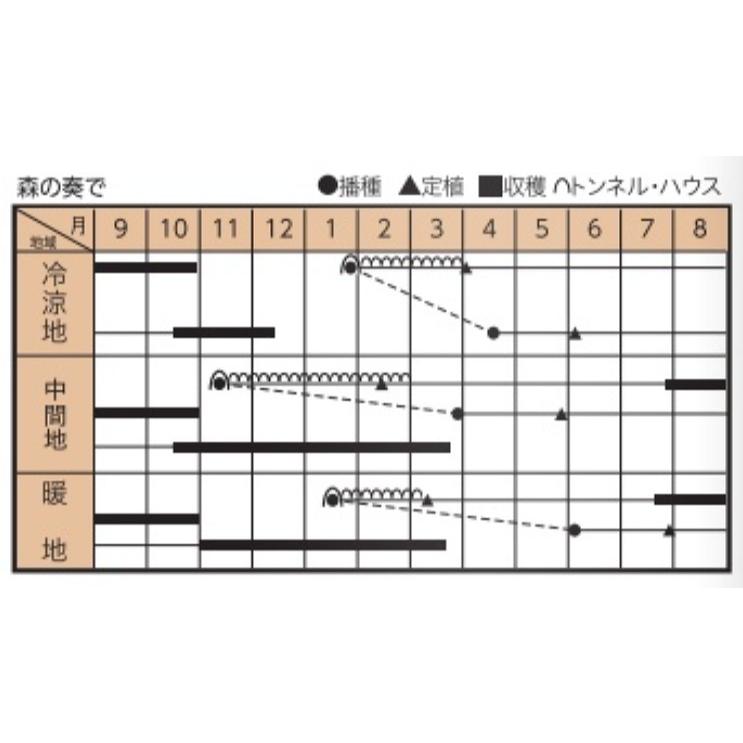 【匿名発送】ブロッコリーコート種子（クリア）5000粒 楽天市場】【有効期限2026年9月末】 ブロッコリー 種 おはよう
