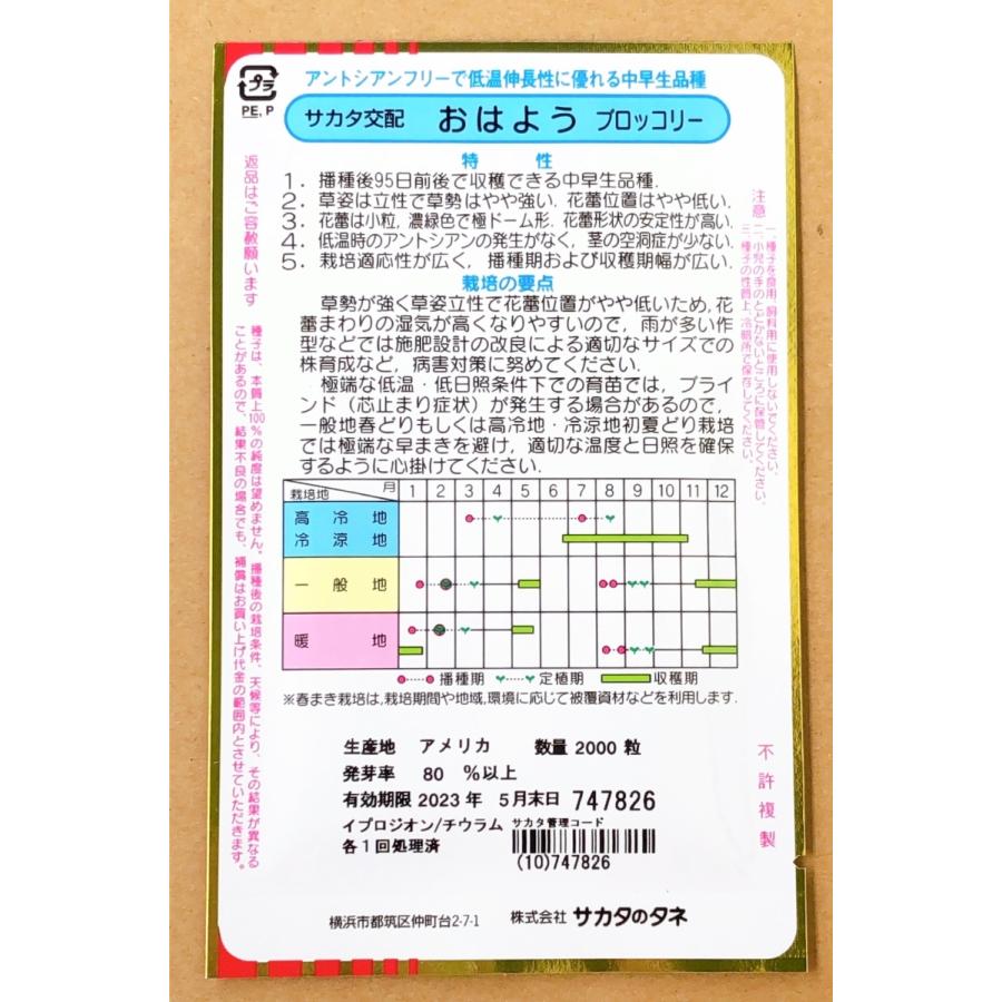 哲也 交渉中】どどーんと値下げ！大人気のブロッコリー種
