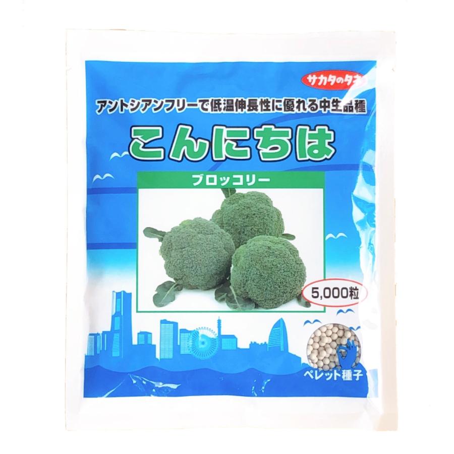 こんにちは 5000粒 ブロッコリー 種 ペレット 人気のファッションブランド