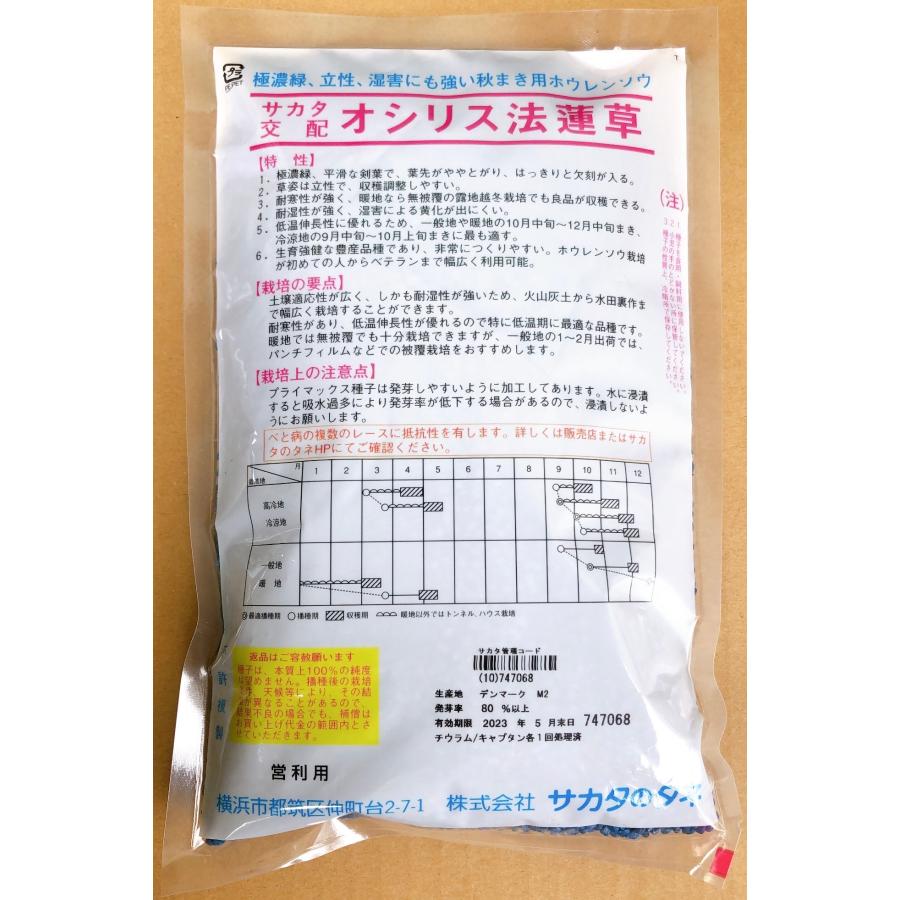オシリス　ほうれん草　Mサイズ　3万粒　種｜mmc-store｜02