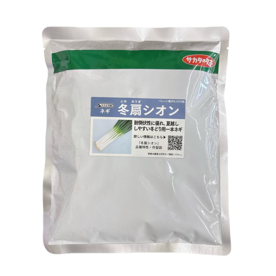 ネギ　冬扇シオン　6000粒　3袋　有効期限９月 冬扇シオン 6000粒 ねぎ ペレット種子 : 農園芸と雑貨の店