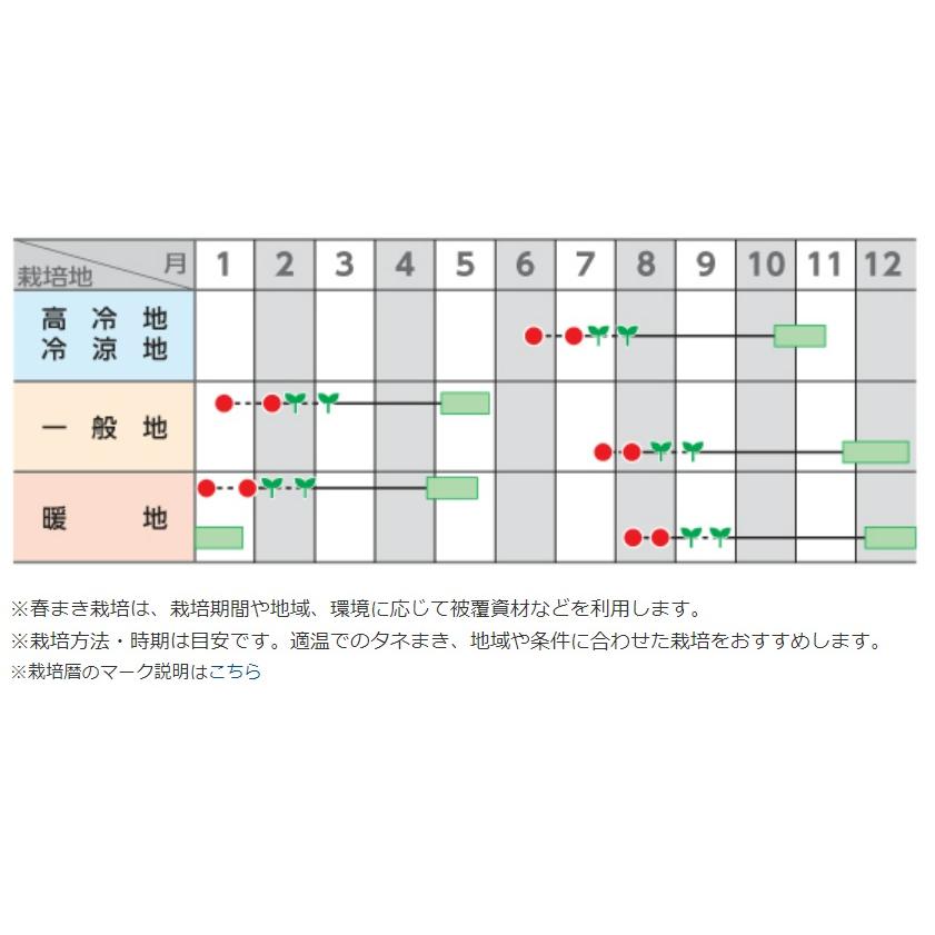 引き取り限定】グランドーム種 5,000 2個25,000円