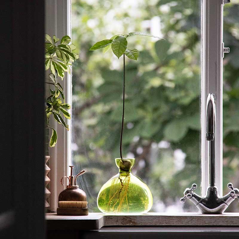 マトリックスアスピリアル　マリンエッセンス　エコロインターナショナル　3点セット エコロ・インターナショナル / マトリックス アスピリアル