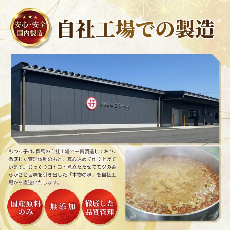 永井食堂 もつっ子 本格派向け もつ煮（ピリ辛・柔らか・モツ多め