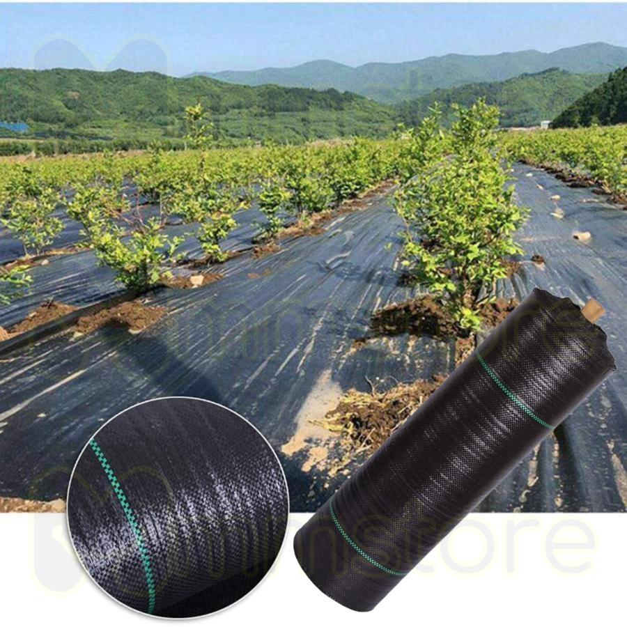 楽天市場】防草シート1m×100m 農用シート 草よけシート 雑草防止
